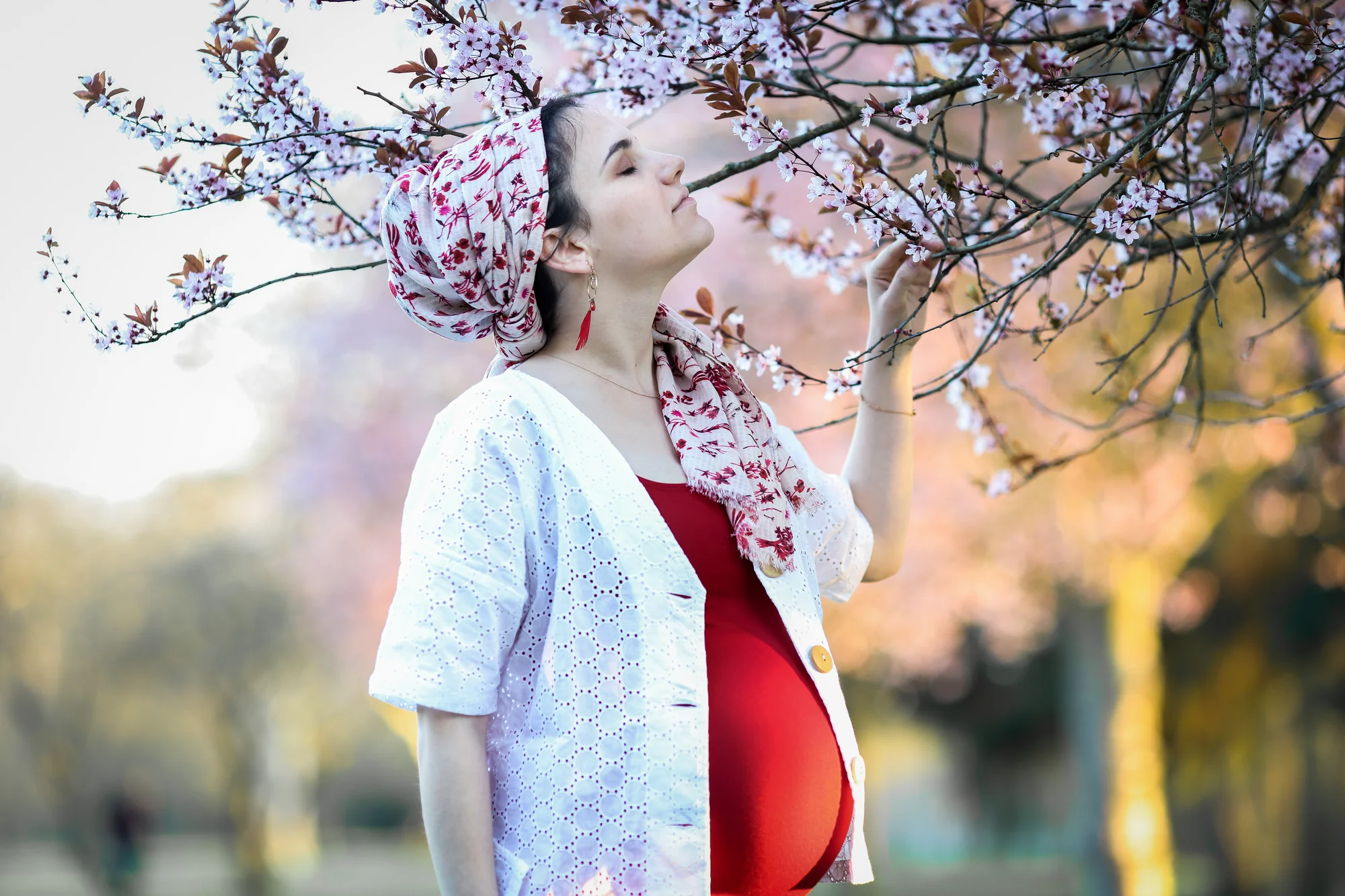 Sous les fleurs de cerisier